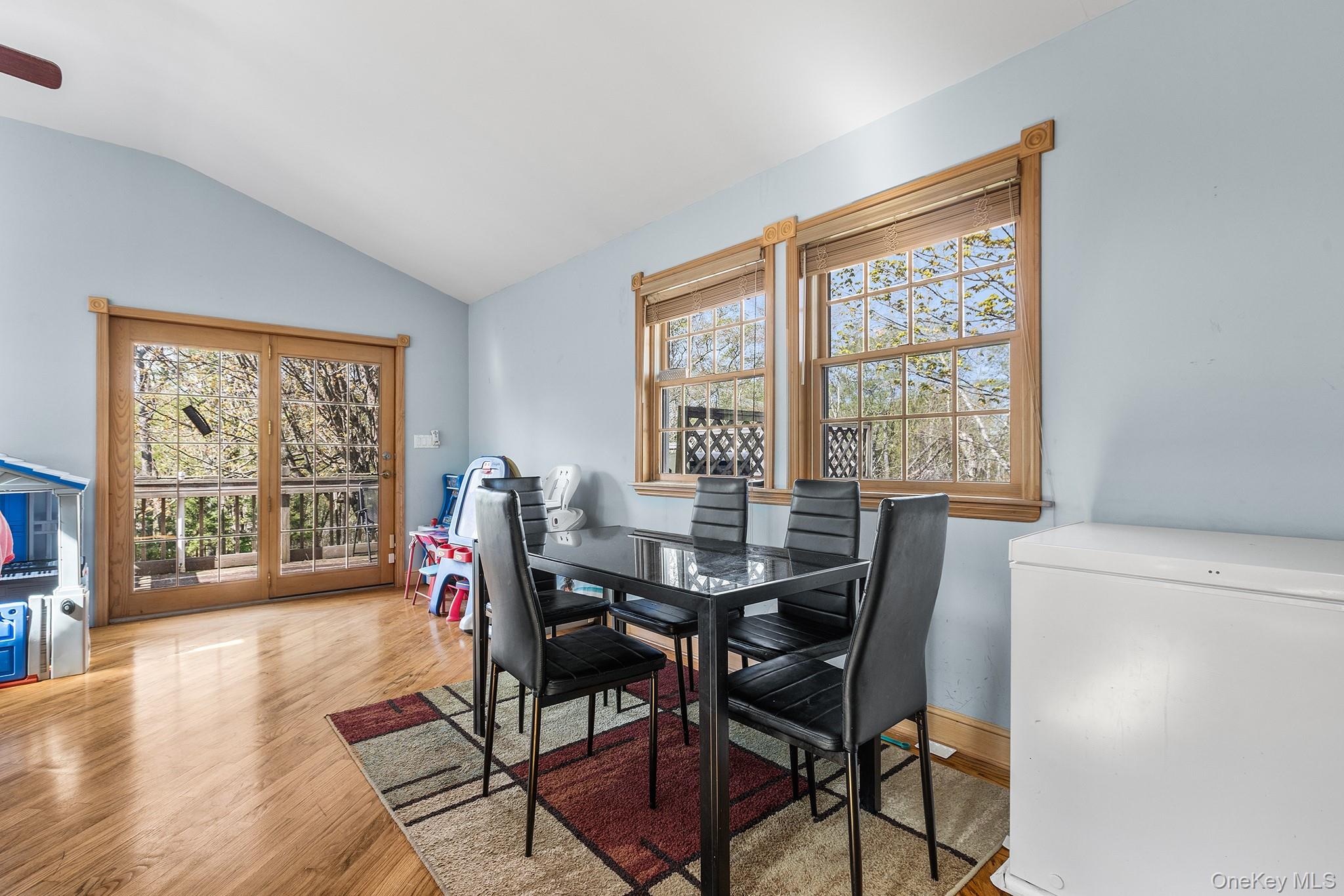 43 Taylor Road Parksville, NY 12768 - Photo 12 of 29 Bright room featuring wood-finish flooring, vaulted ceiling, and light blue walls