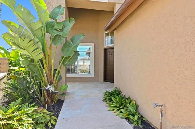 a plant with a plant in front of it