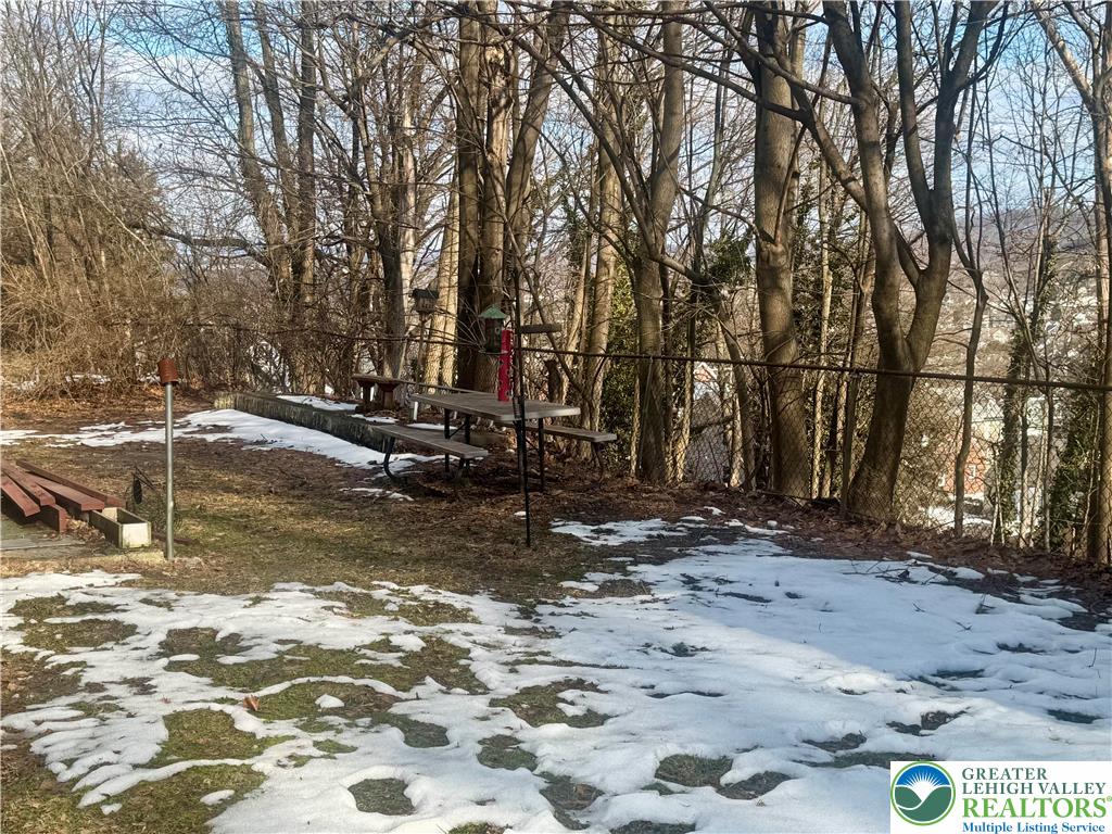 1056 Graham Street Fountain Hill, PA 18015 - Photo 38 of 43