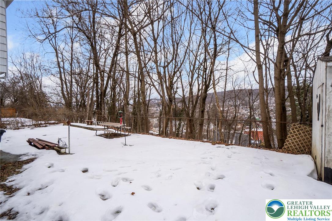 1056 Graham Street Fountain Hill, PA 18015 - Photo 41 of 43