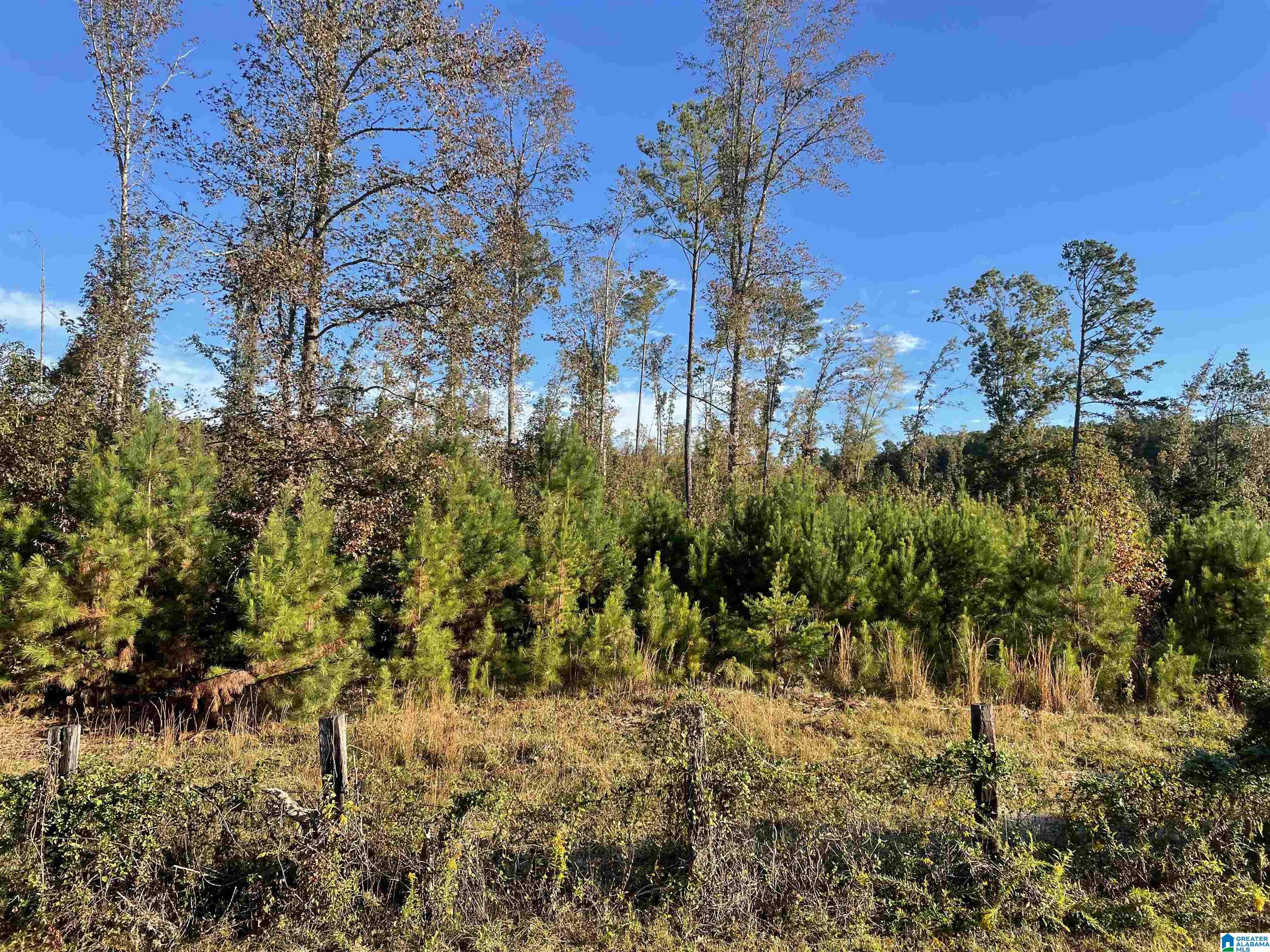 Lot 5 Mooney Road, Unit 5 Jemison, AL 35085 - Photo 2 of 3