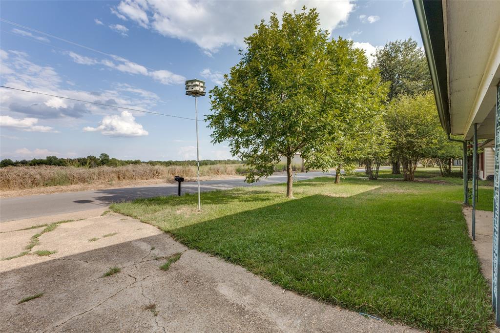 425 Lybrand Street Wills Point, TX 75169 - Photo 8 of 12 View of green lawn