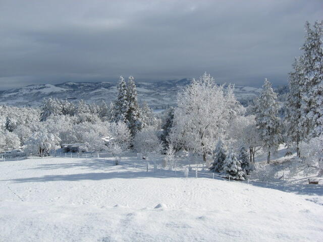 7017 Dark Hollow Road Medford, OR 97501 - Photo 71 of 74 snow landscape