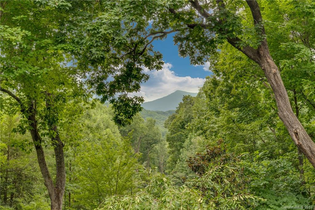 1200 Braewick Road Tryon, NC 28782 - Photo 24 of 24
