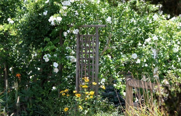 1678 Main Road Westport, MA 02790 - Photo 4 of 29 Gallery Image 4