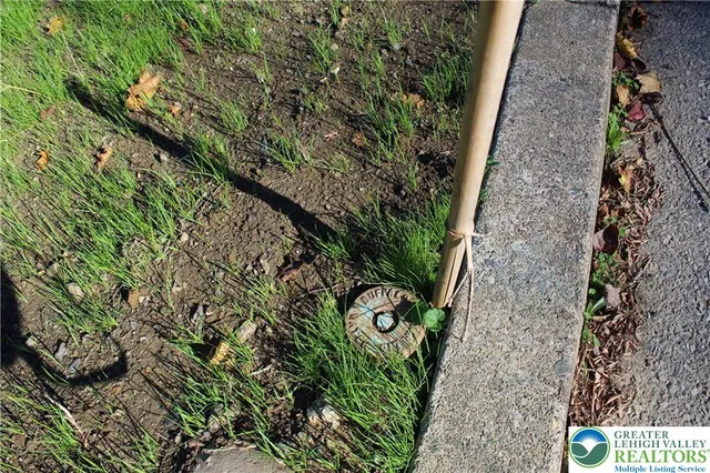 a view of a tree with plants