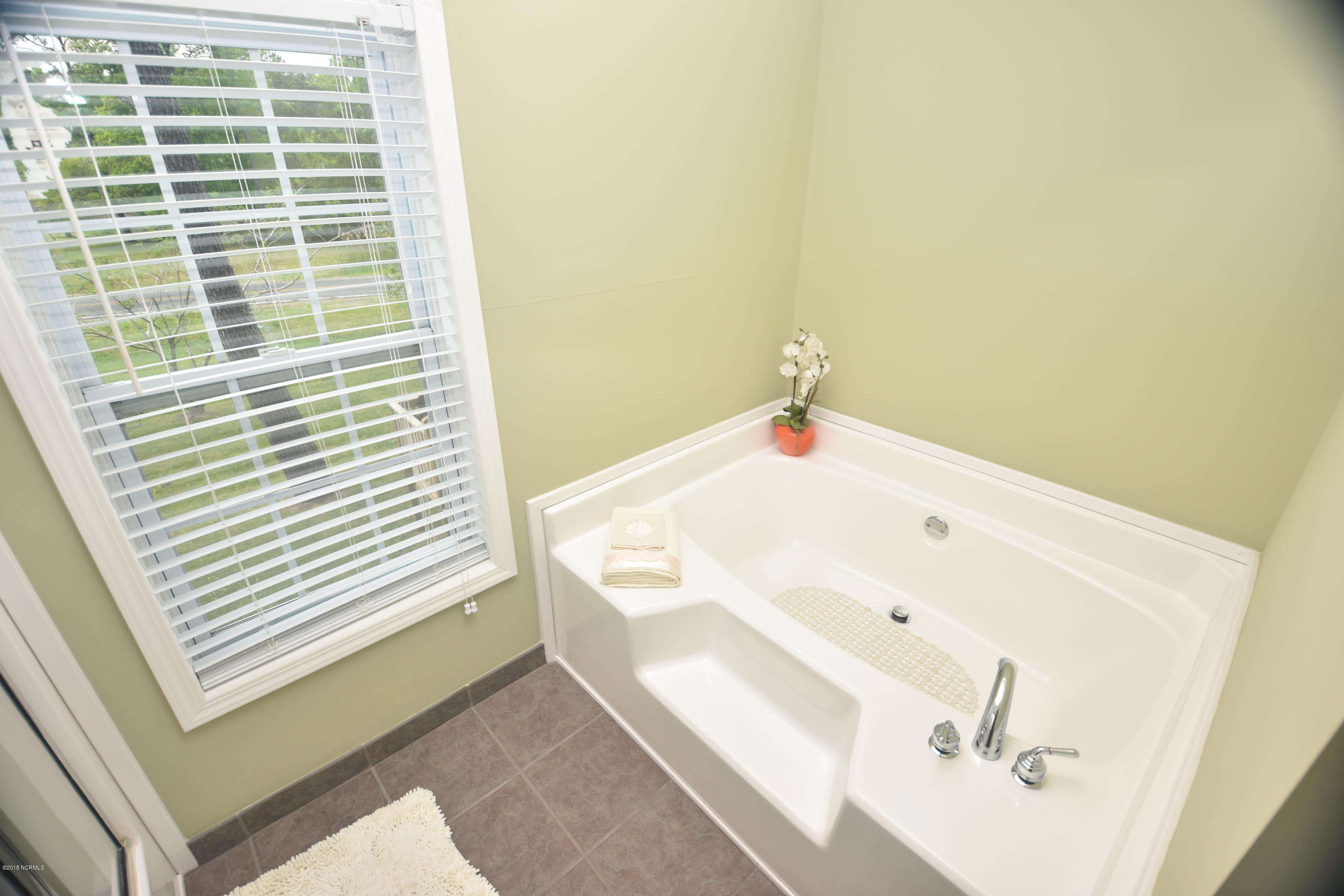 322 Lewis Road Aurora, NC 27806 - Photo 24 of 31 Soaking Tub