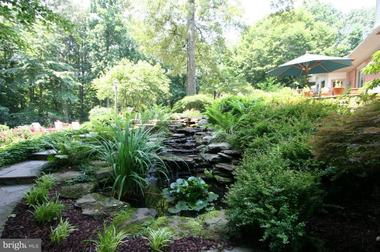 11114 Cripplegate Road Potomac, MD 20854 - Photo 8 of 30 a view of a garden with plants and large trees