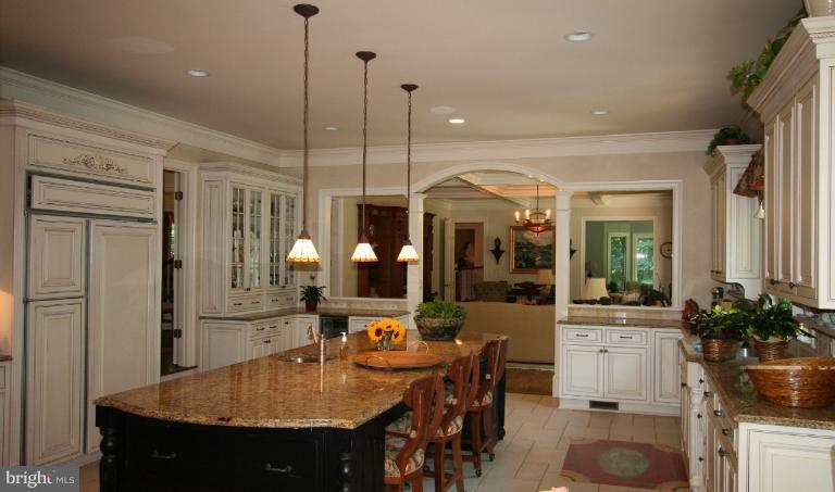 11114 Cripplegate Road Potomac, MD 20854 - Photo 10 of 30 a kitchen with sink and refrigerator