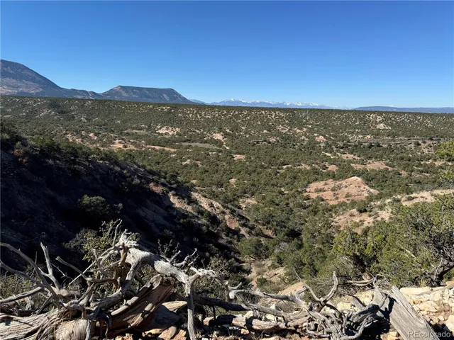 $60,000 | 41 Co Road, Unit BB, Gardner, CO 81040