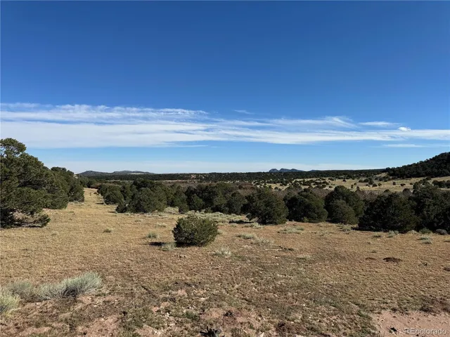 $60,000 | 41 Co Road, Unit BB, Gardner, CO 81040