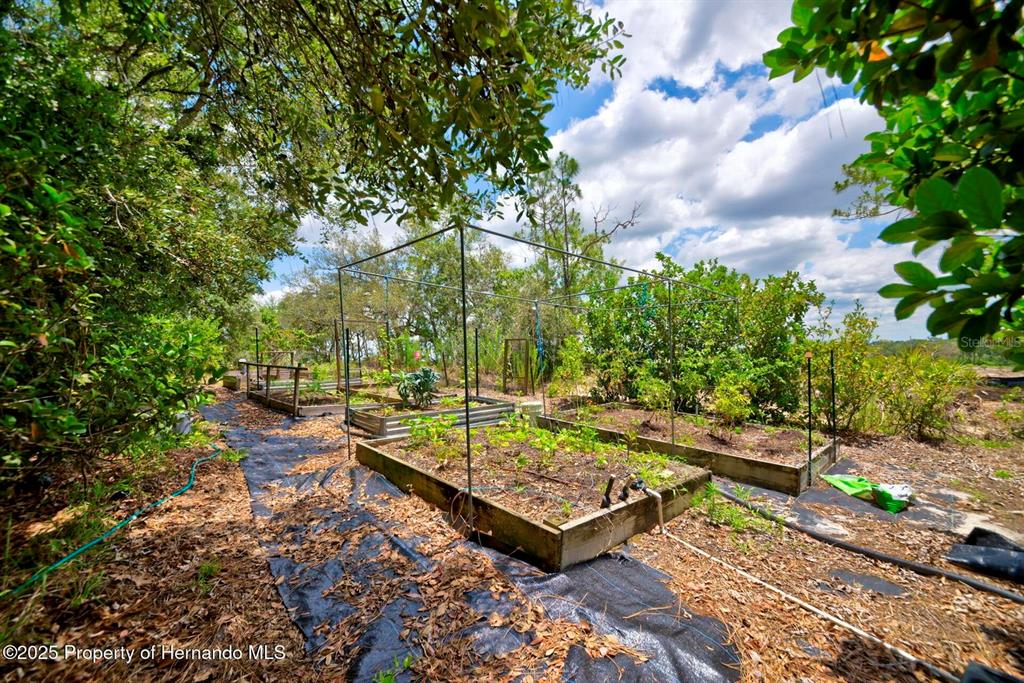 11422 Warm Wind Way Weeki Wachee, FL 34613 - Photo 49 of 76