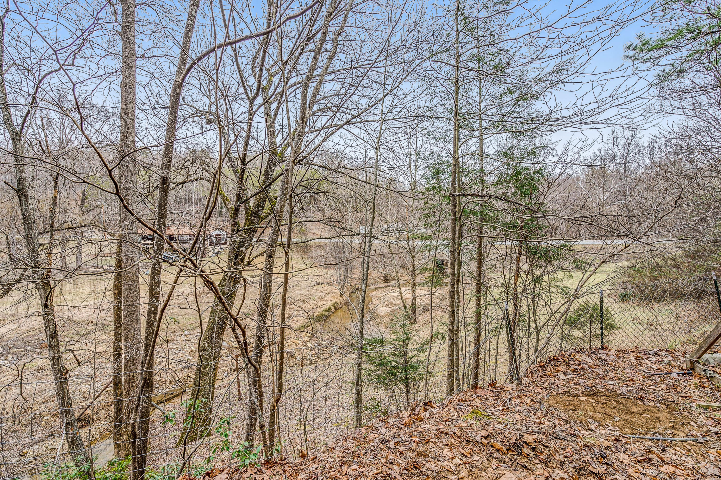 6071 Goodview Road Goodview, VA 24095 - Photo 34 of 44 a backyard of a house with lots of green space