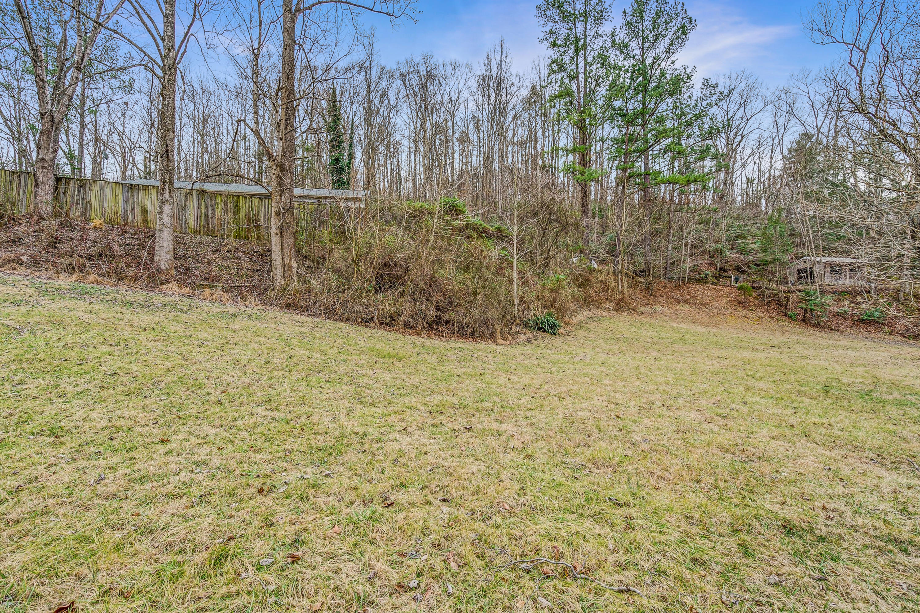 6071 Goodview Road Goodview, VA 24095 - Photo 39 of 44 a view of a yard with large trees