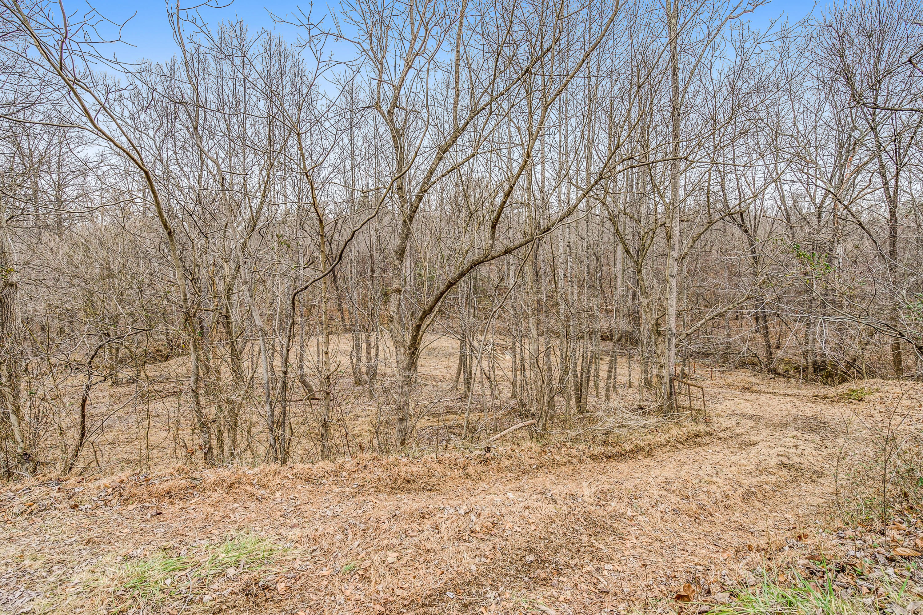 6071 Goodview Road Goodview, VA 24095 - Photo 43 of 44 a backyard of a house with lots of green space