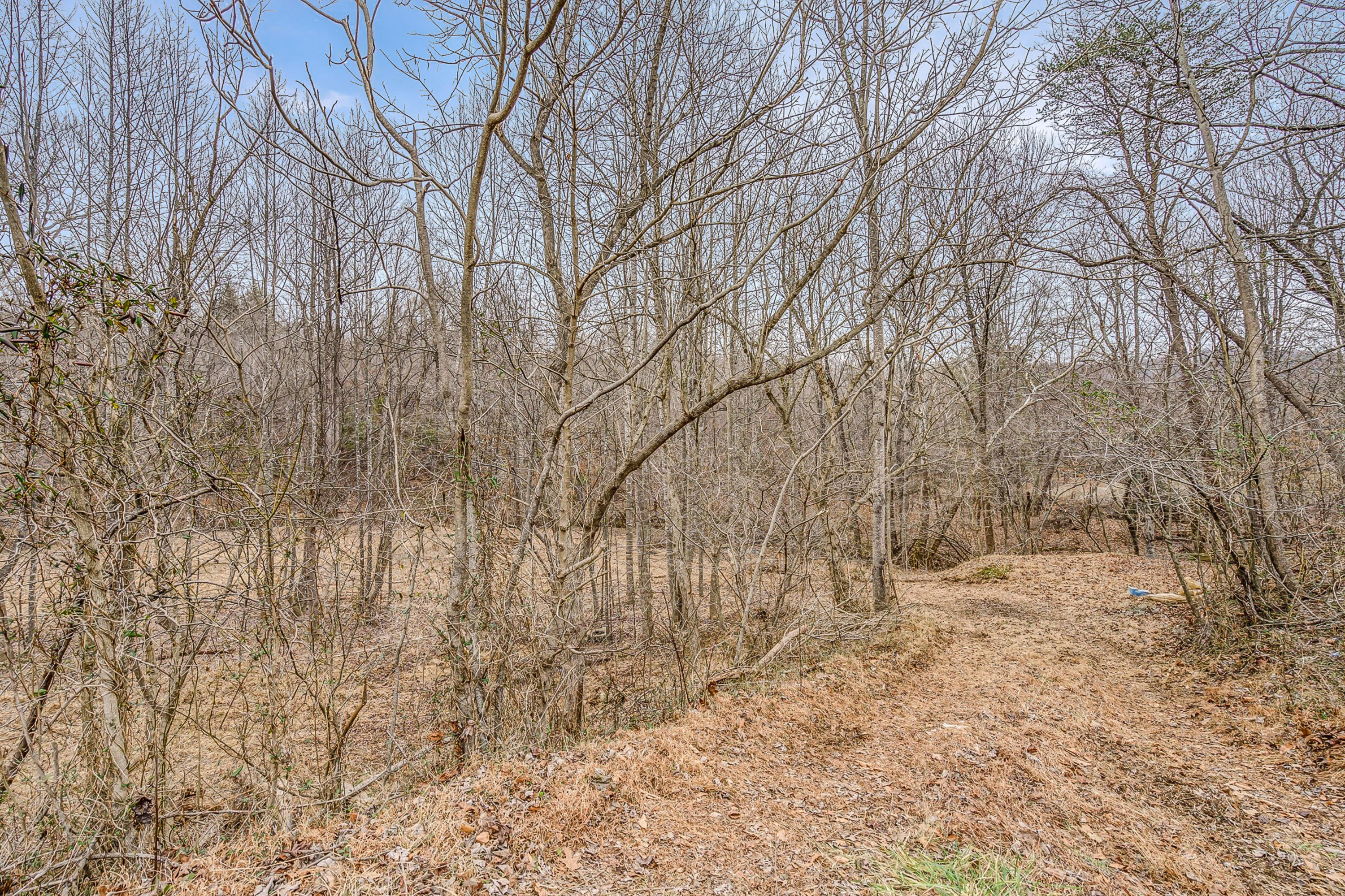 6071 Goodview Road Goodview, VA 24095 - Photo 44 of 44 a view of empty yard with trees