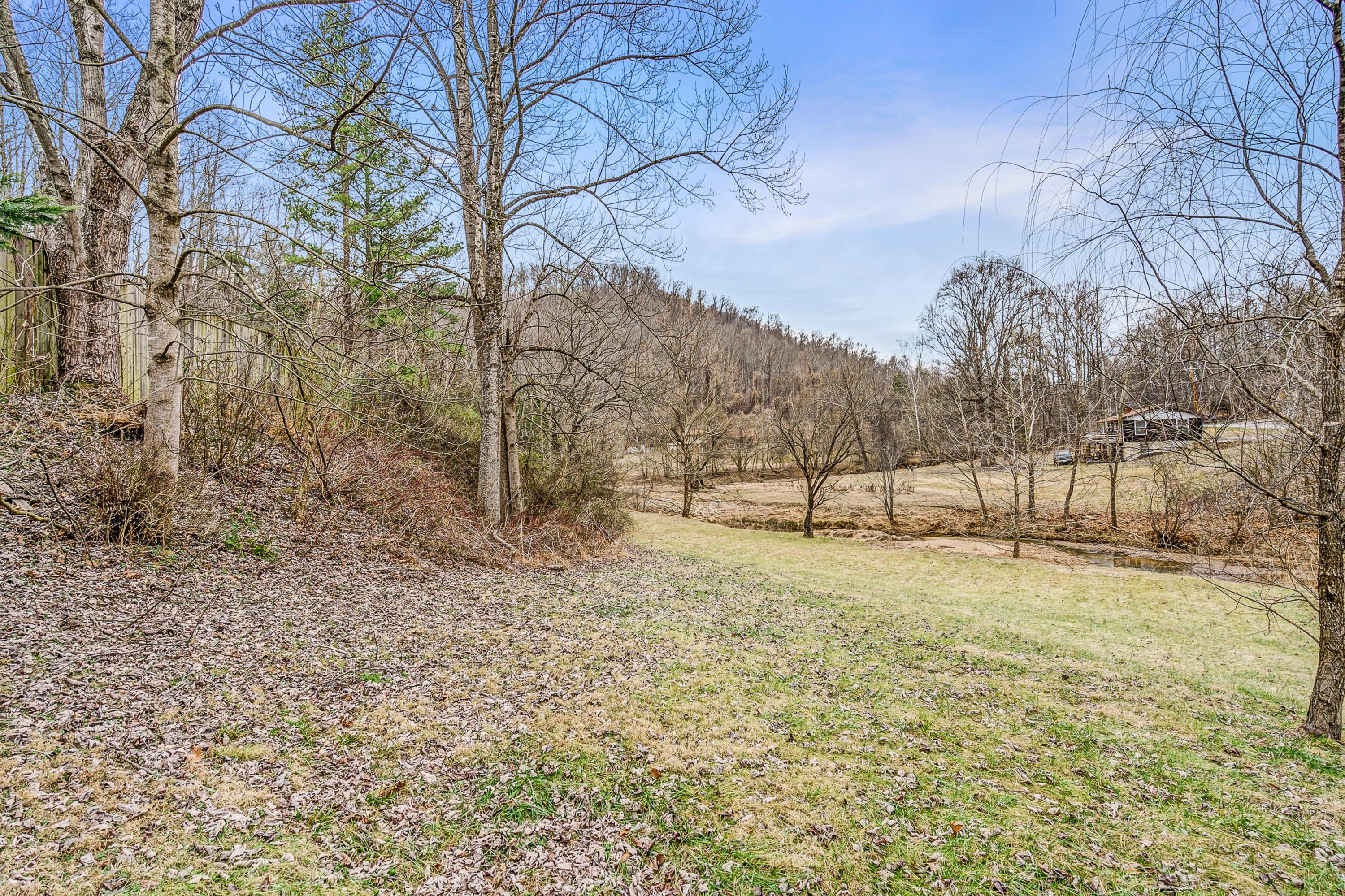 6071 Goodview Road Goodview, VA 24095 - Photo 6 of 44 a backyard of a house with large trees