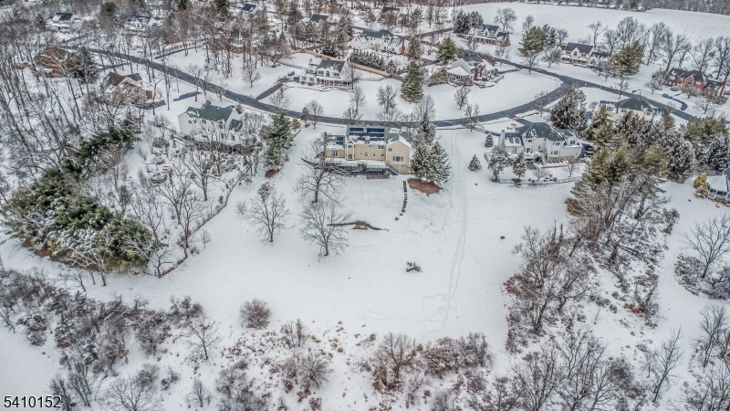 10 Red Robin Way Flemington, NJ 08822 - Photo 2 of 31