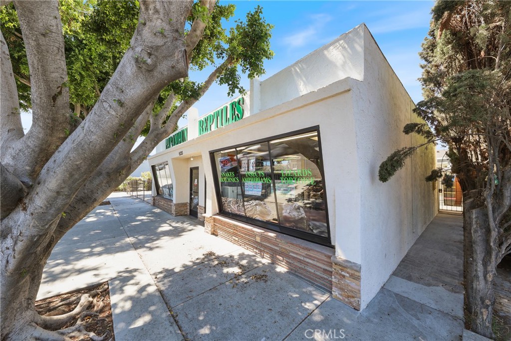 15323 Paramount Boulevard Paramount, CA 90723 - Photo 4 of 72 15323 Paramount Blvd: Pet Store