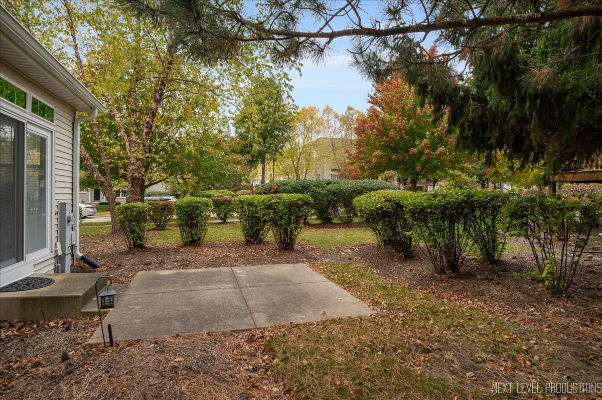 332 Wolcott Lane Batavia, IL 60510 - Photo 28 of 28 a view of a street with potted plants and large trees