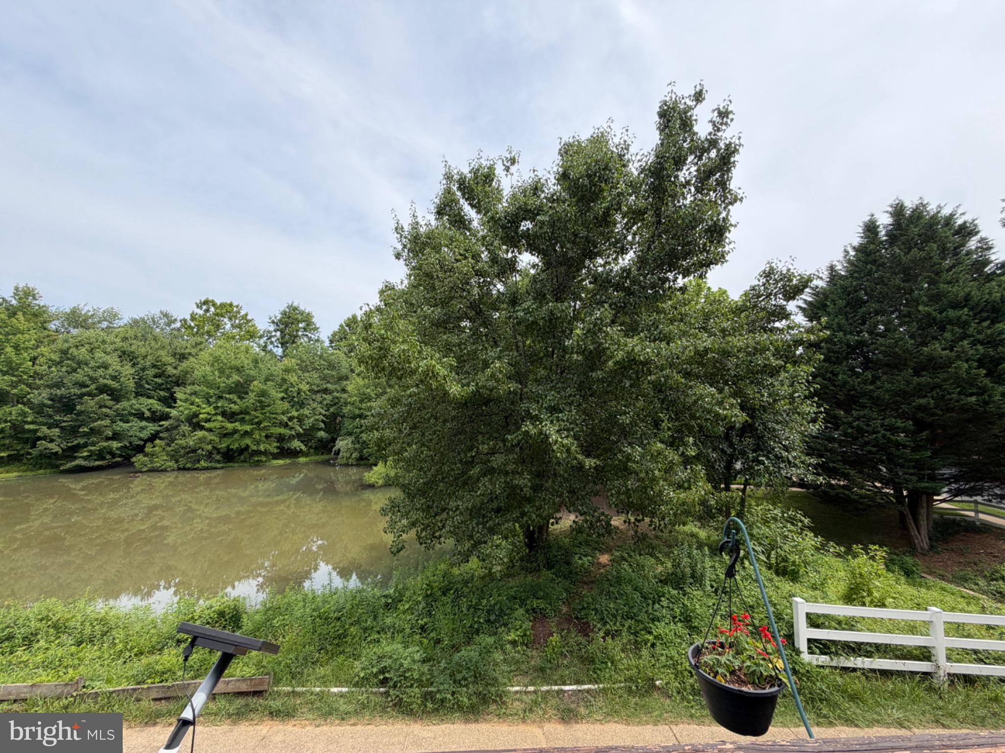 2502 Short Putt Court Crofton, MD 21114 - Photo 13 of 35 Lush greenery by a tranquil pond.