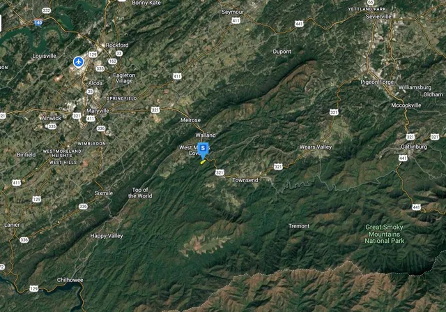 a green field with lots of bushes