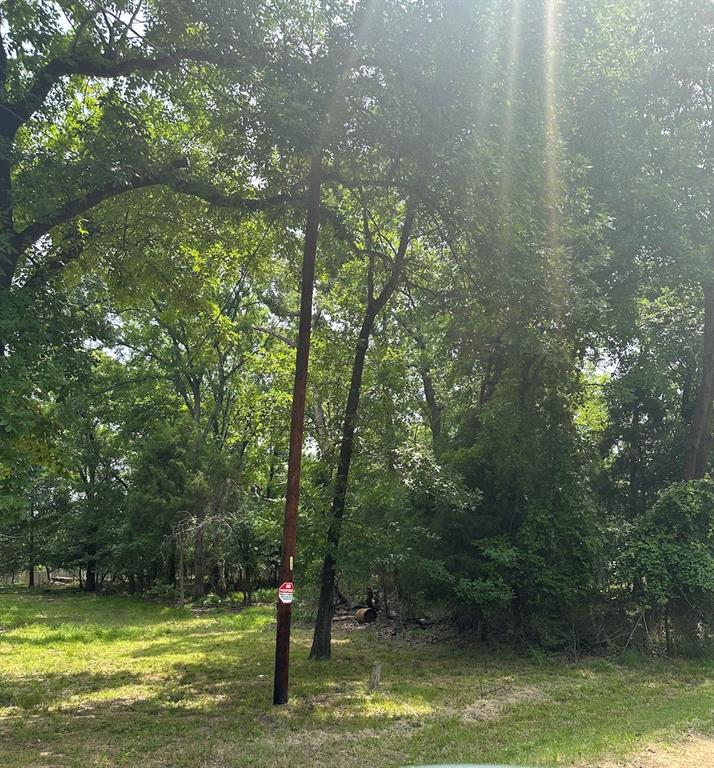 0 Hickory Street Mabank, TX 75156 - Photo 2 of 3 a view of a large body of water with a large tree