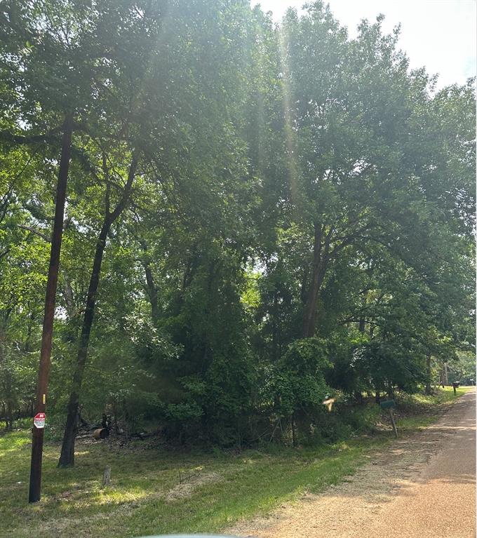 0 Hickory Street Mabank, TX 75156 - Photo 3 of 3