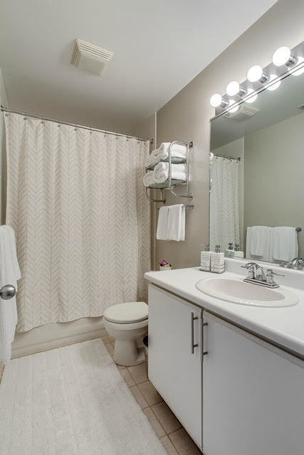 1007 East 61st Street Chicago, IL 60637 - Photo 12 of 20 a bathroom with a sink a toilet and mirror