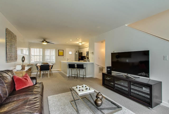 1007 East 61st Street Chicago, IL 60637 - Photo 4 of 20 a living room with furniture and a flat screen tv