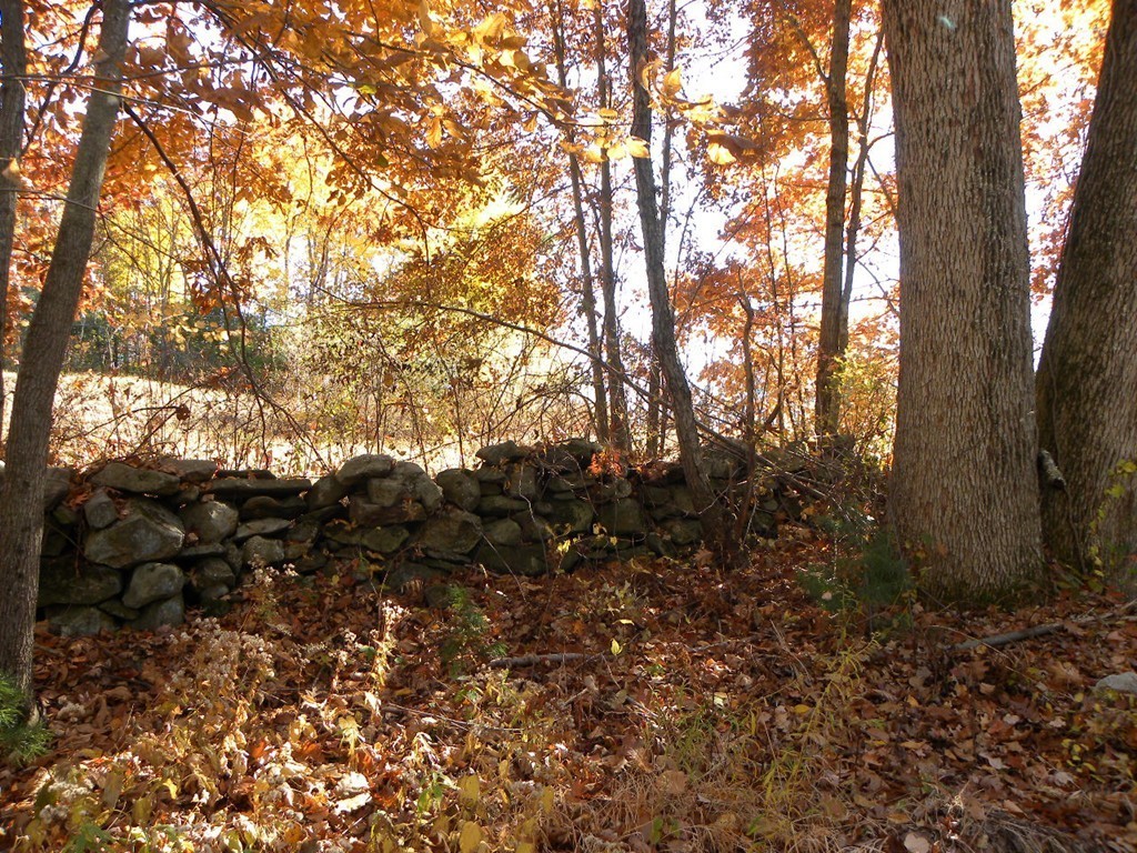 Lot 1 Baker Pond Road Dudley, MA 01571 - Photo 4 of 20 Gallery Image 4