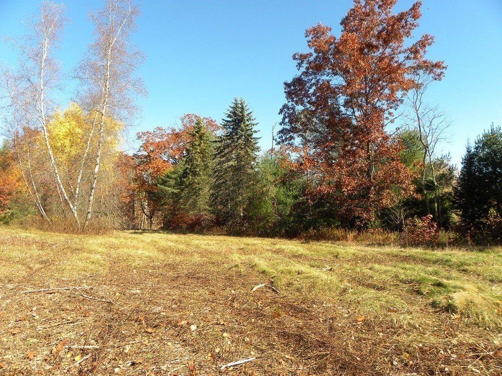 Lot 1 Baker Pond Road Dudley, MA 01571 - Photo 7 of 20 Gallery Image 7