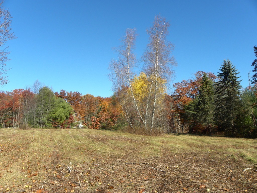 Lot 1 Baker Pond Road Dudley, MA 01571 - Photo 8 of 20 Gallery Image 8