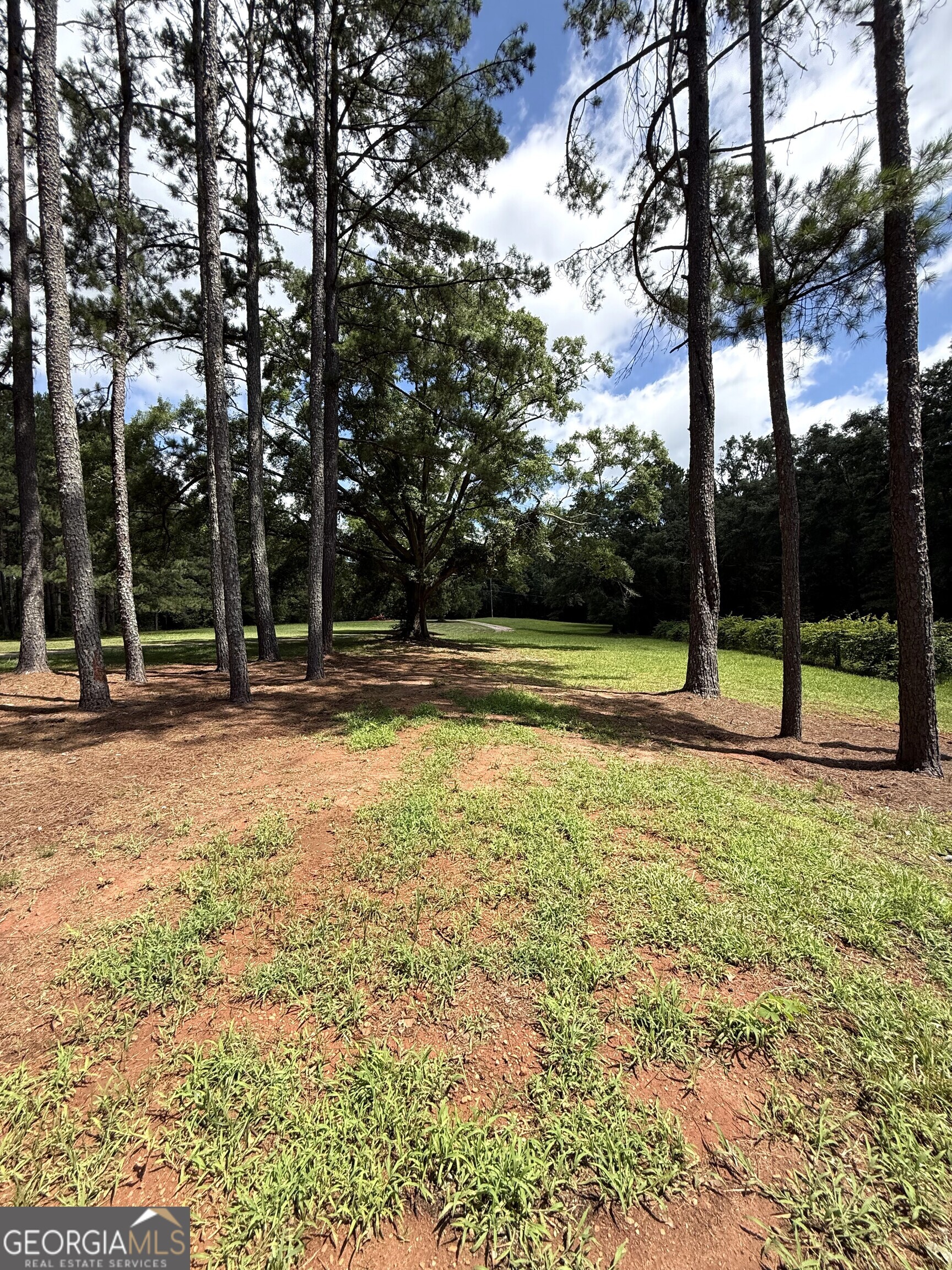 725 Musgrove Road Griffin, GA 30223 - Photo 47 of 52 a view of outdoor space with garden