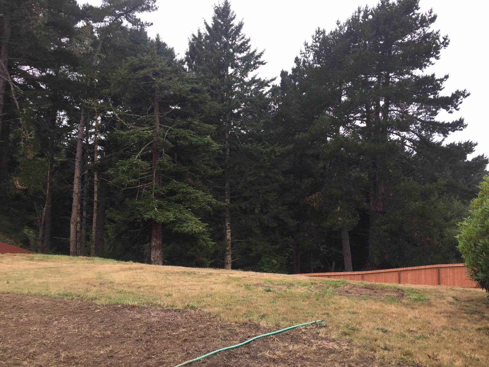 7084 Humboldt Hill Road Eureka, CA 95503 - Photo 26 of 34