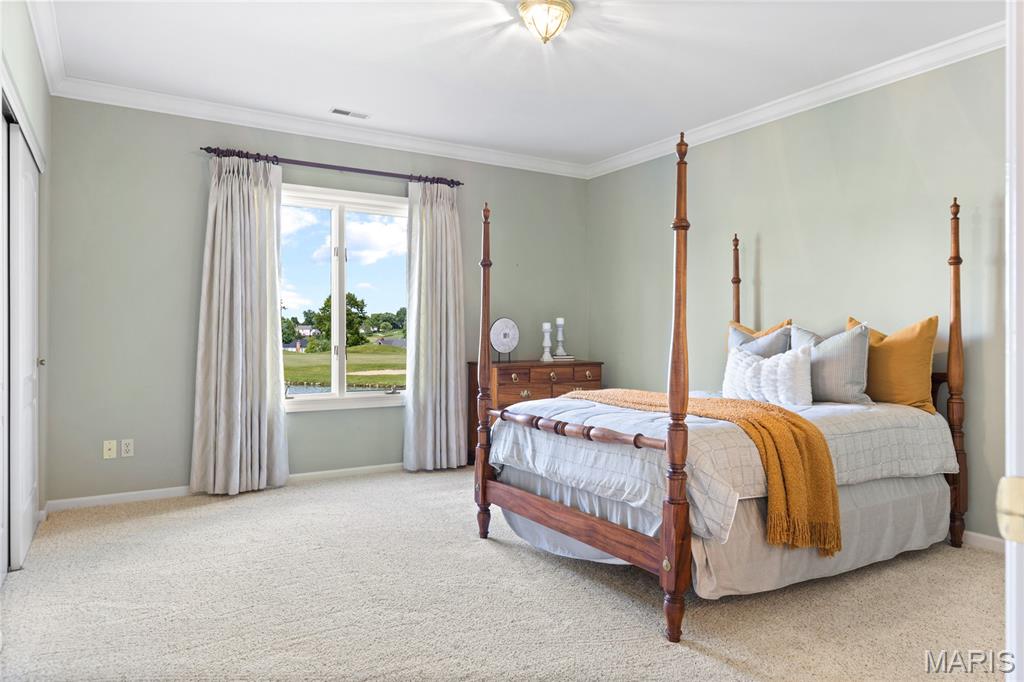 110 Glendalough Lane Weldon Spring, MO 63304 - Photo 54 of 56