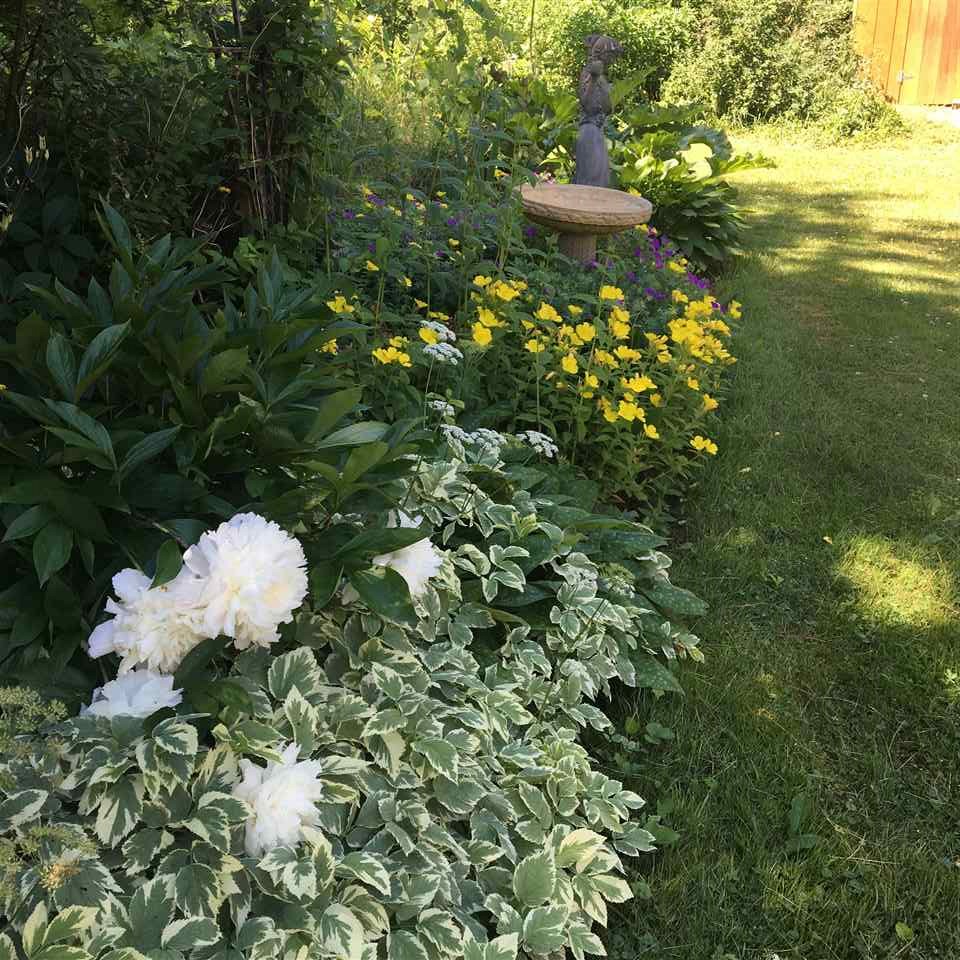 3300 Main Road Huntington, VT 05462 - Photo 28 of 28 Gallery Image 28