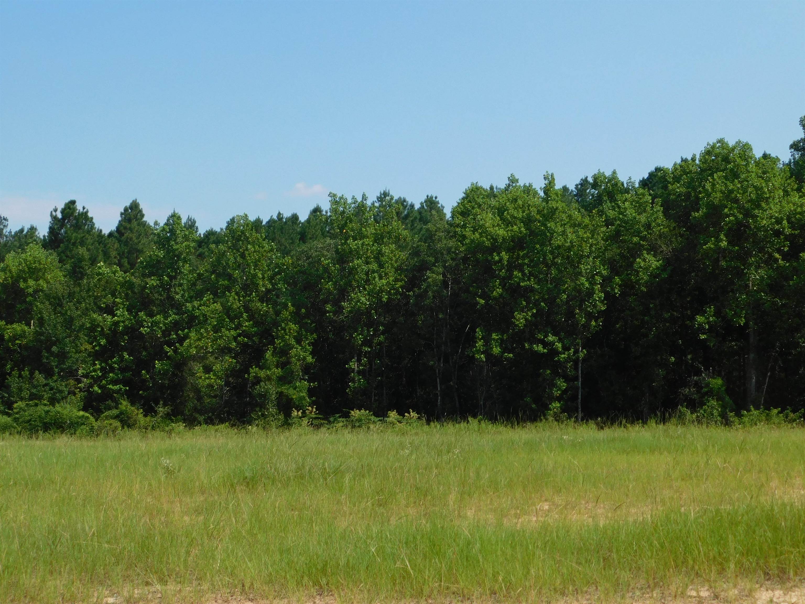 20526 Jody Wiggins Road Andalusia, AL 36420 - Photo 27 of 27 Gallery Image 27