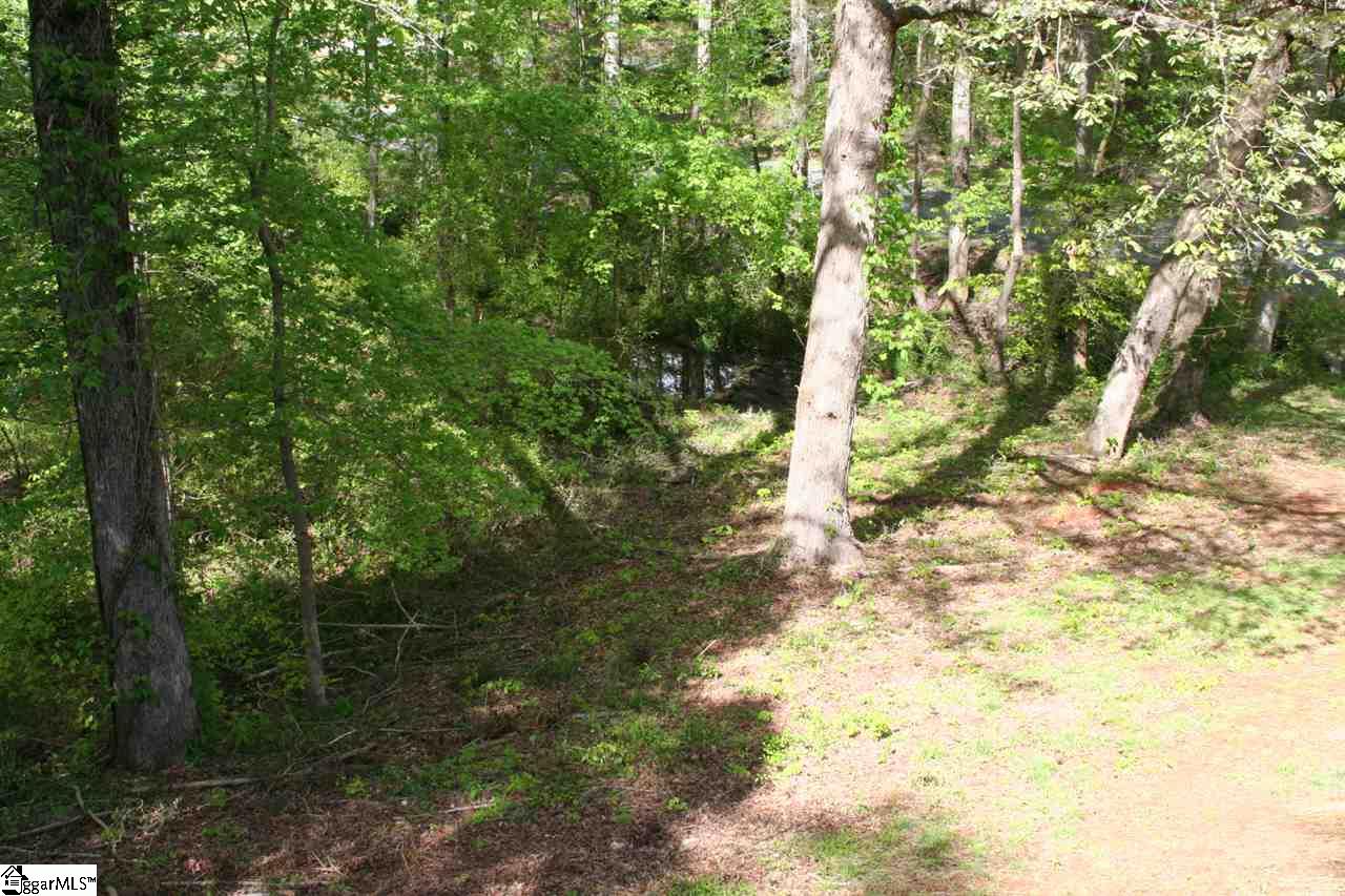 171 West Tyger Bridge Road Taylors, SC 29687 - Photo 3 of 31 Gallery Image 3