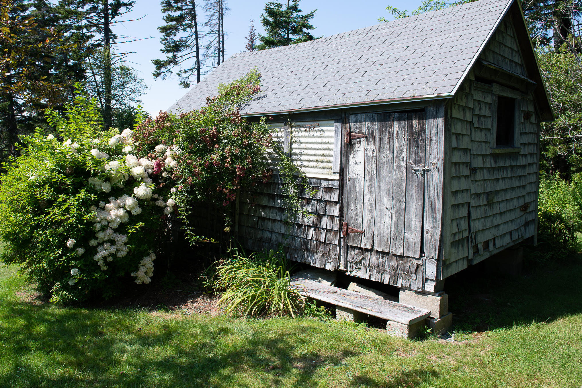 196 Ash Point Road Harpswell, ME 04079 - Photo 23 of 37 DSC_0978