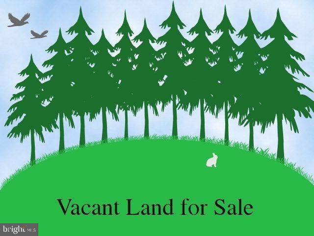 Lot 1 Webb Farm Road Lincoln, DE 19960 - Photo 1 of 1 Gallery Image 1