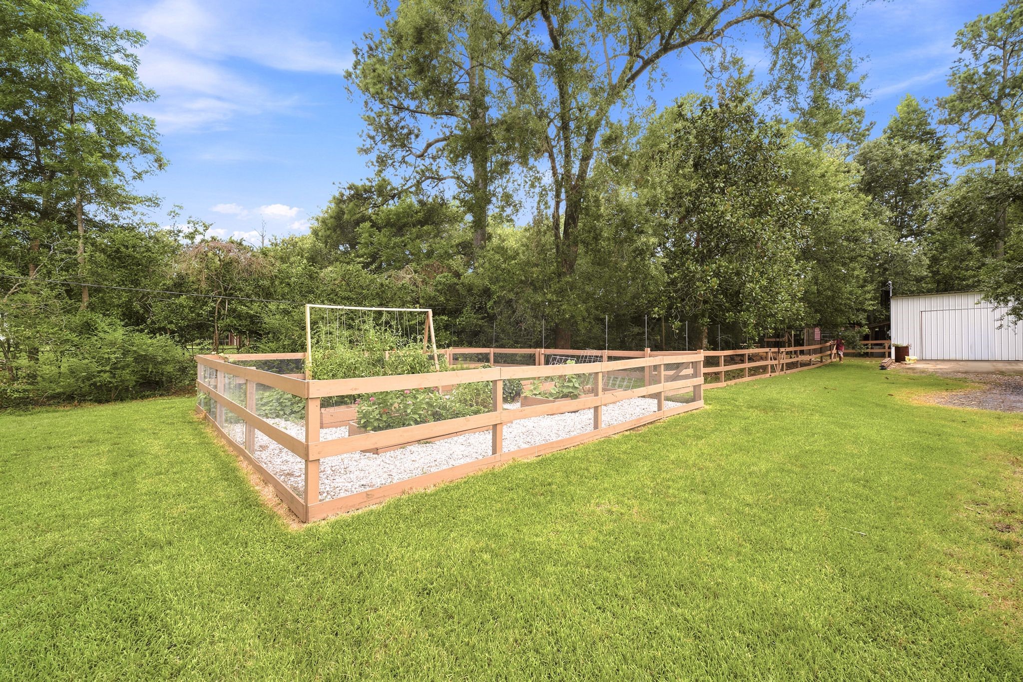11375 Best Road Beaumont, TX 77713 - Photo 44 of 49 Fenced garden.