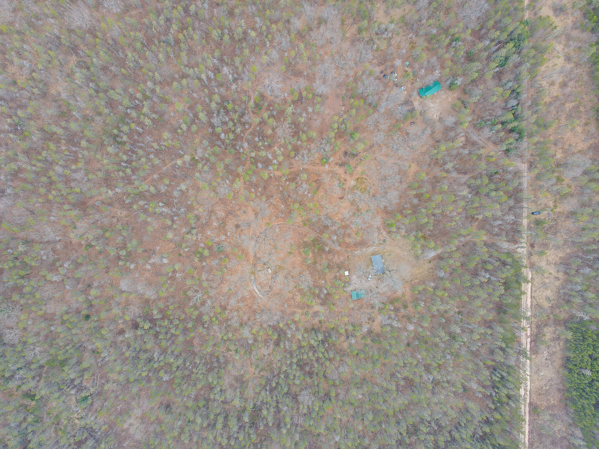 9577 Taylor Road Free Soil, MI 49411 - Photo 16 of 54 DJI_0274