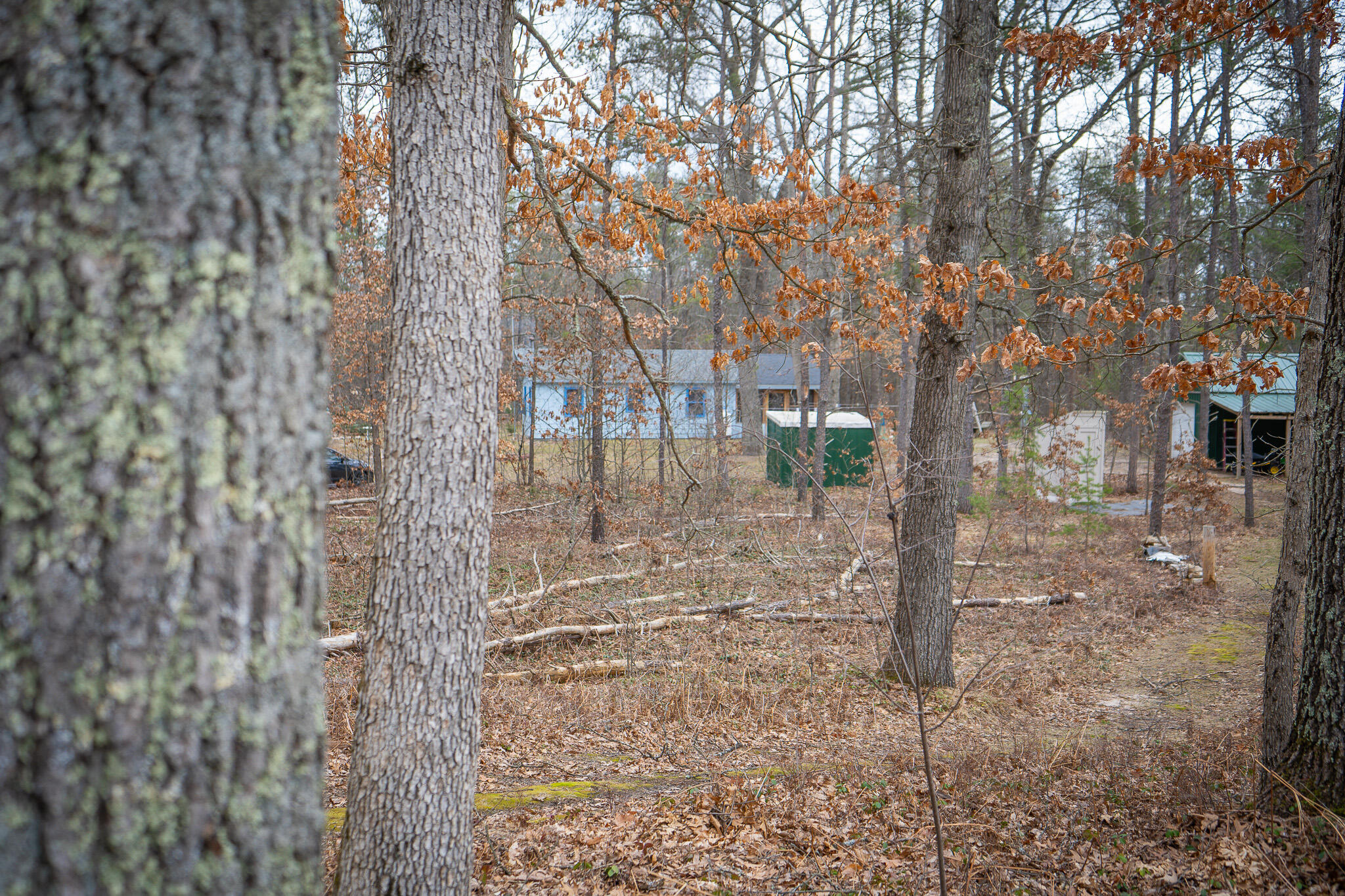 9577 Taylor Road Free Soil, MI 49411 - Photo 32 of 54 DSC06279