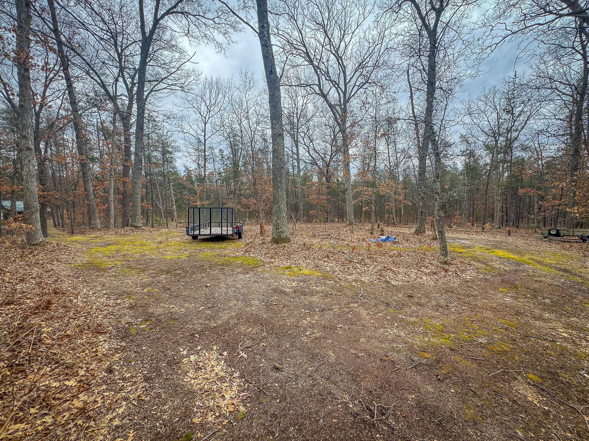 9577 Taylor Road Free Soil, MI 49411 - Photo 54 of 54 IMG_0907