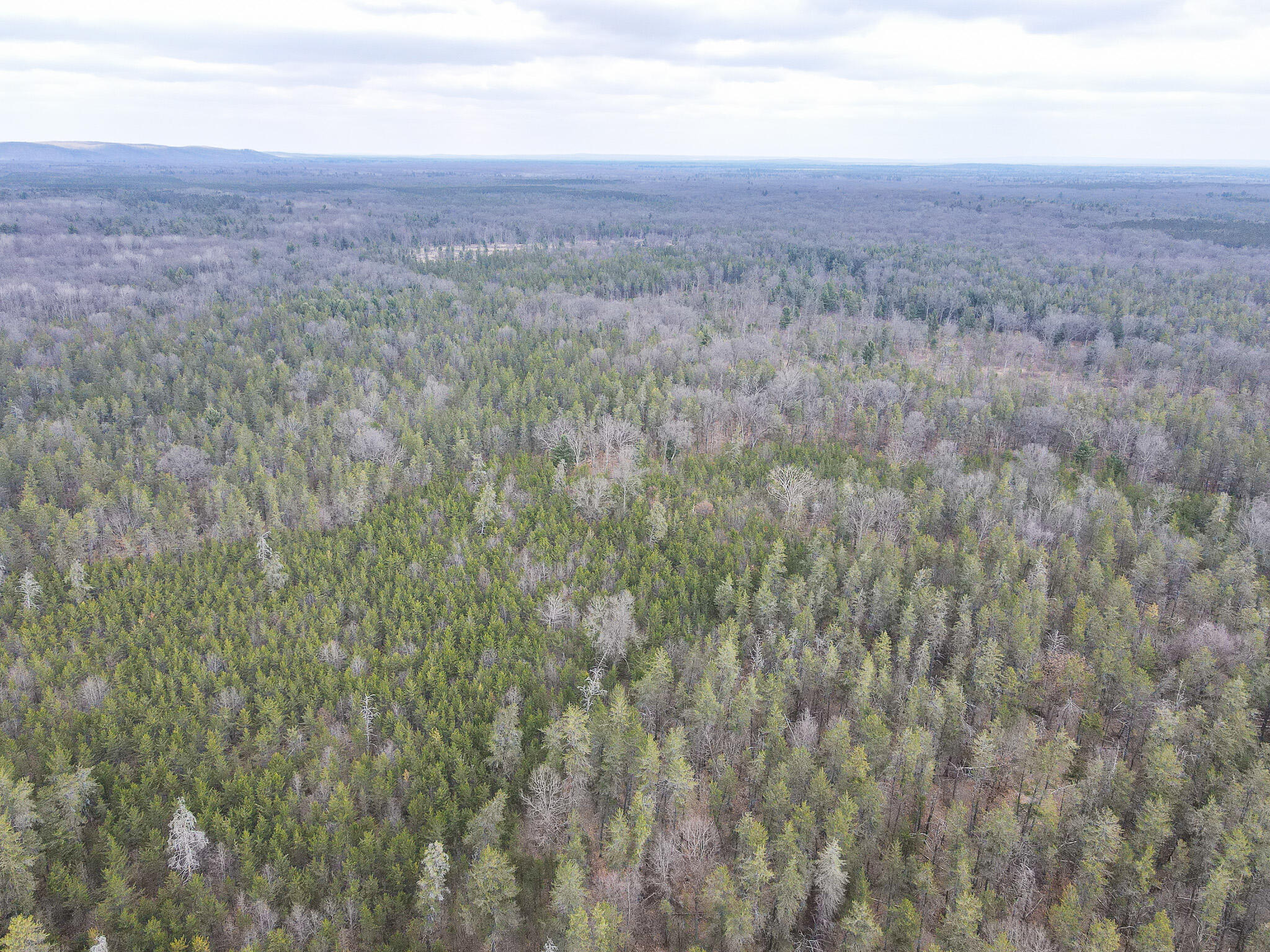 9577 Taylor Road Free Soil, MI 49411 - Photo 10 of 54 DJI_0257