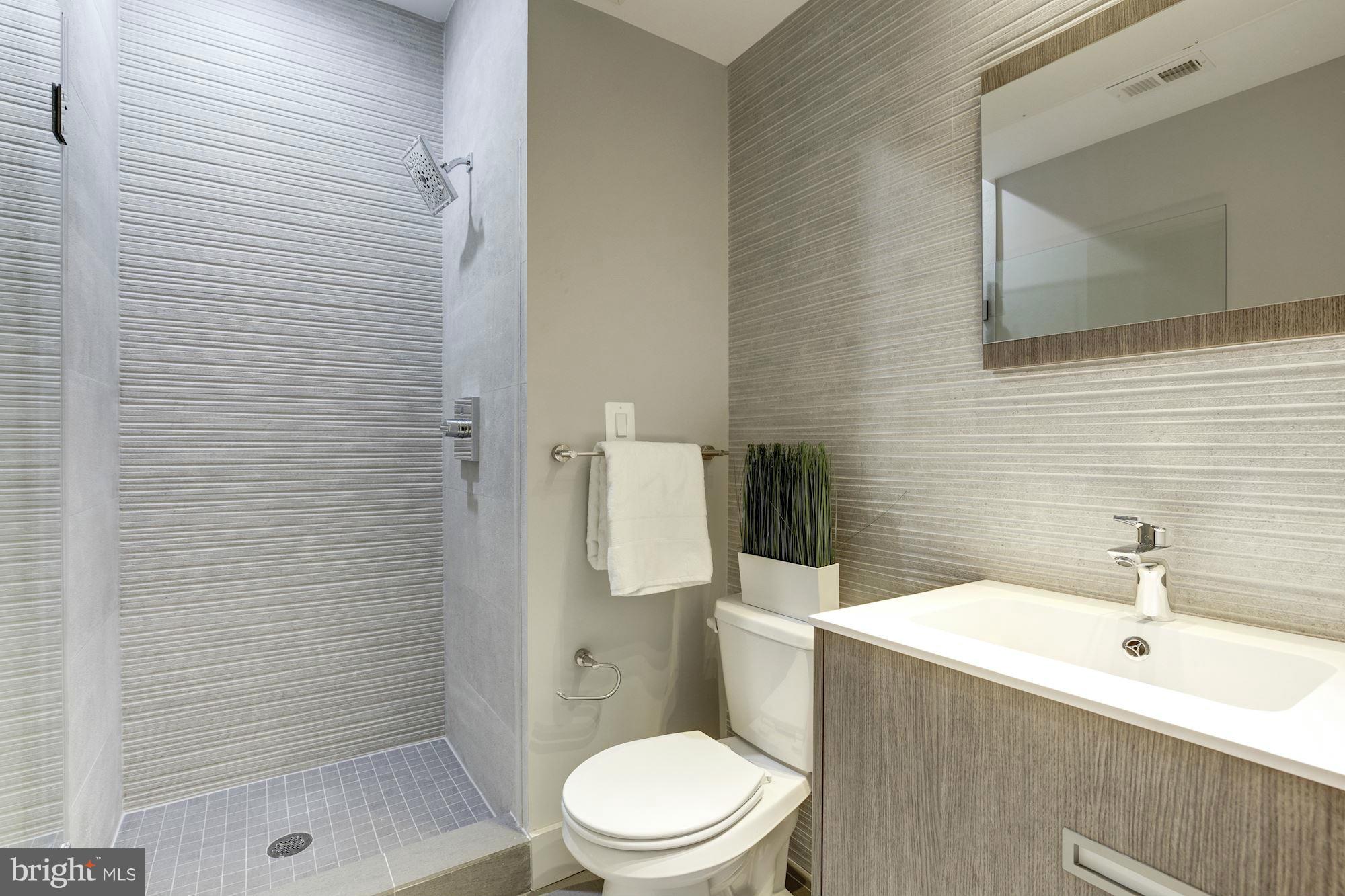 254 15th Street Southeast, Unit 4 Washington, DC 20003 - Photo 5 of 13 Bath