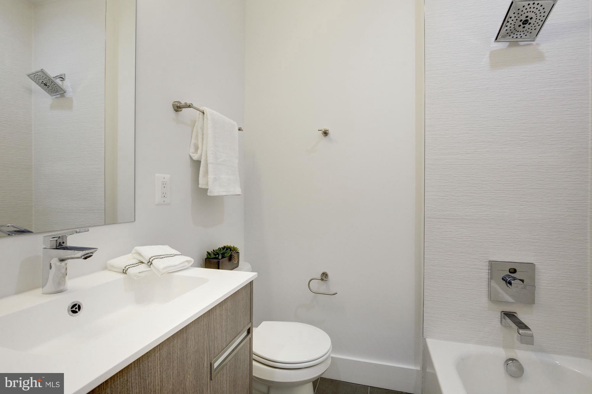 254 15th Street Southeast, Unit 4 Washington, DC 20003 - Photo 8 of 13 Bath