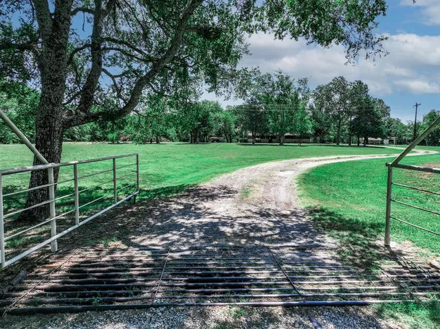 a view of a yard with large trees