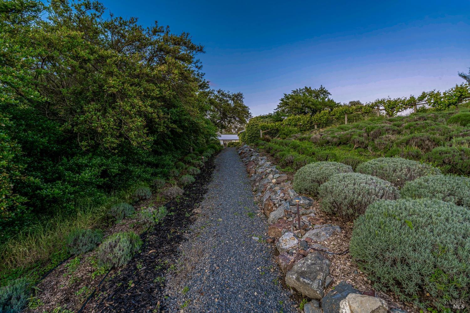 4707 Bloomfield Road Petaluma, CA 94952 - Photo 83 of 97 Path to the safari cabins